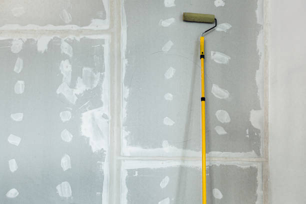 Best Drywall Texturing  in Solomons, MD